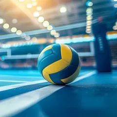 collegevolleyballedits