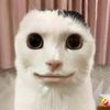 diya_tacobell
