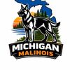 michigan_malinois_