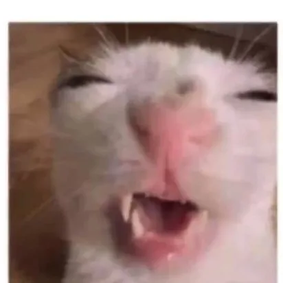 @disdaincut