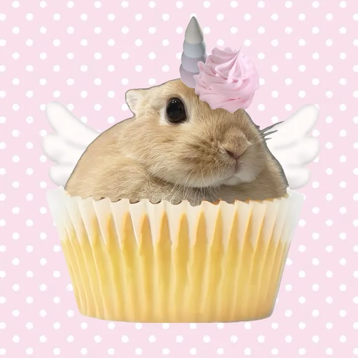 bunnycupcakesparkles4