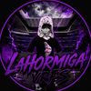 lahormigavrfs6