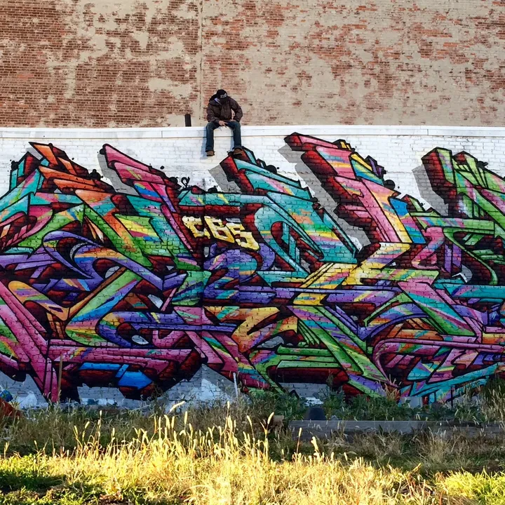 4sakn_cbs