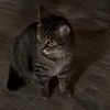 @furyfriends7