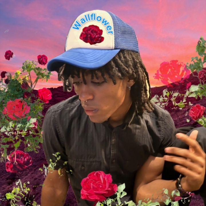 Wallflower - Superficial
