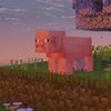 nut.smp0