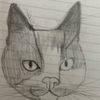mooncat9791