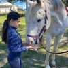 sofi_aka_fifi