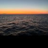 mellz509