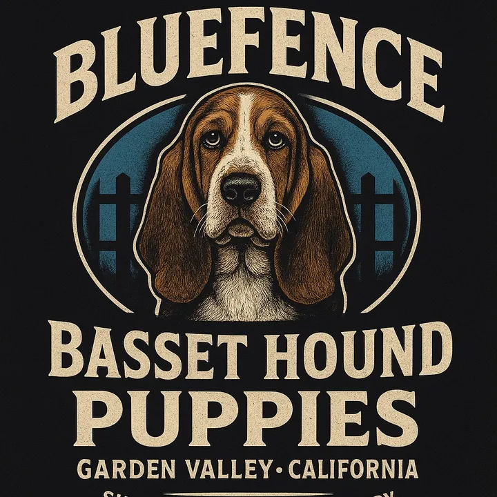 akcbassetspups