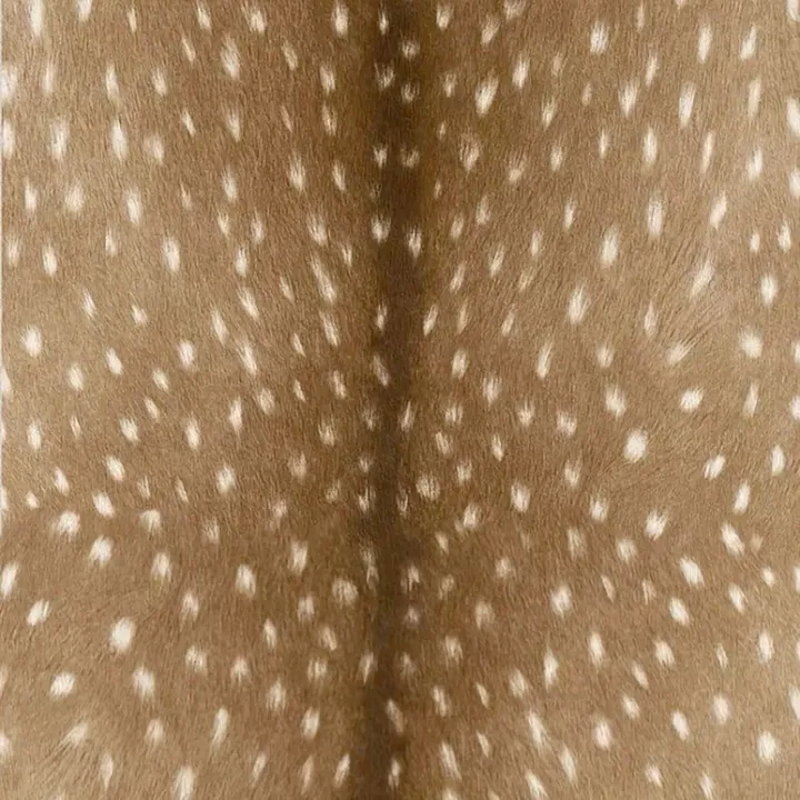 secretm.eli