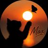 max_playz2167