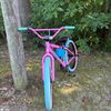 smallvilebikelifeoliver1