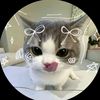 meowmeow5940