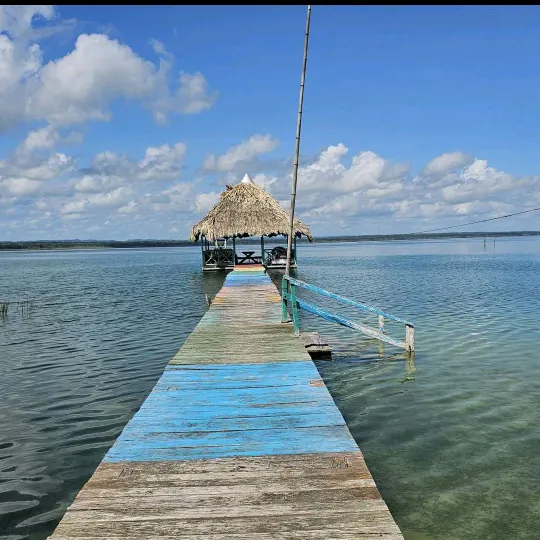soniamonroy29