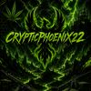 crypticphoenix22
