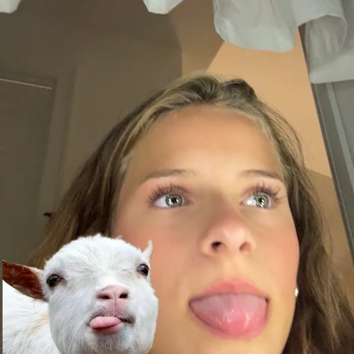 @annessupersecretacc