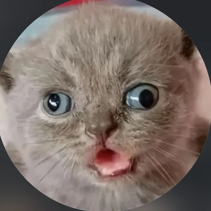 kat.soup5