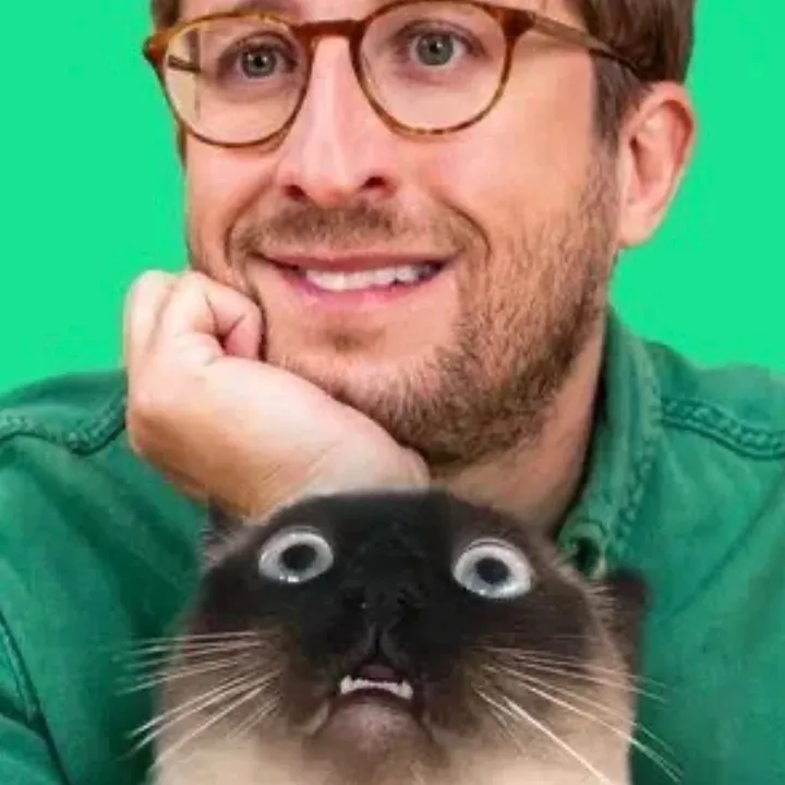 @mervthecat