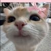 aesthetic_user4you