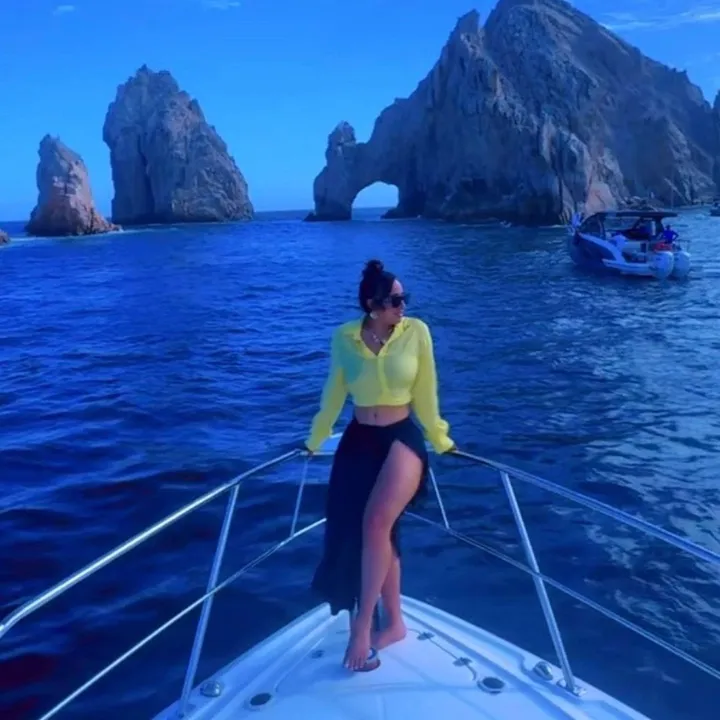 ventura_vane