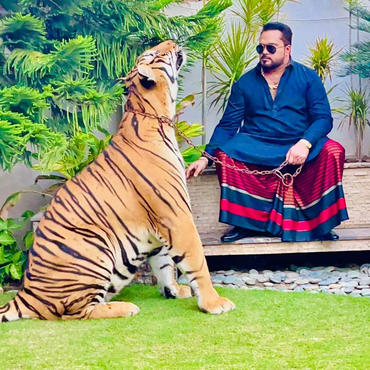 miansaqibtiger
