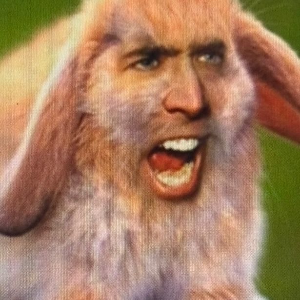 nicolas.rage.1