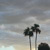 greywrld9