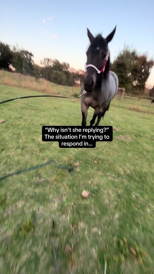 TikTok video thumbnail by ginger.greta