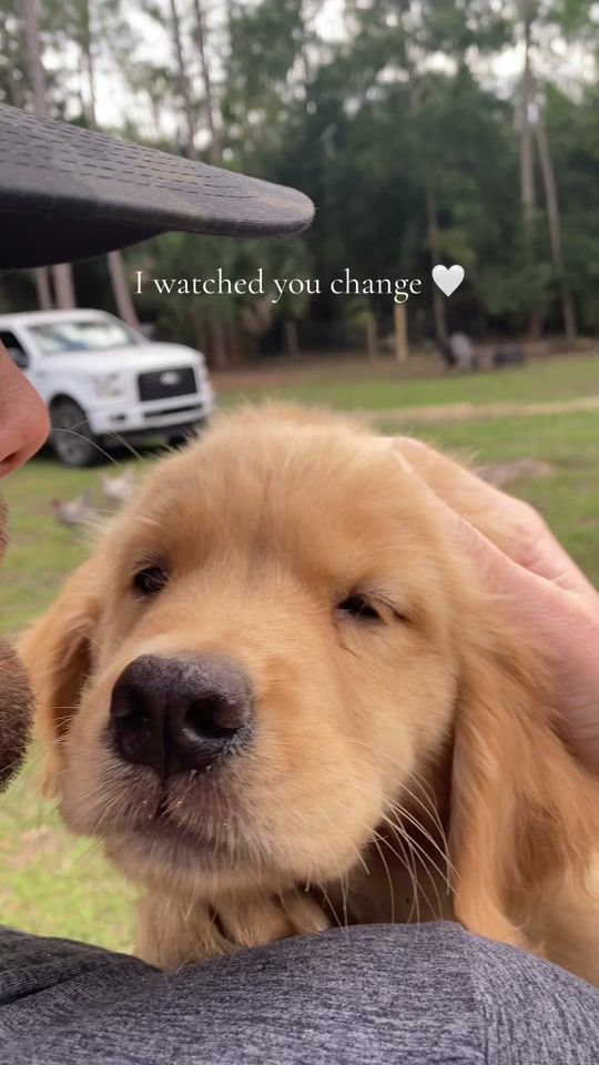 TikTok video thumbnail by macslater