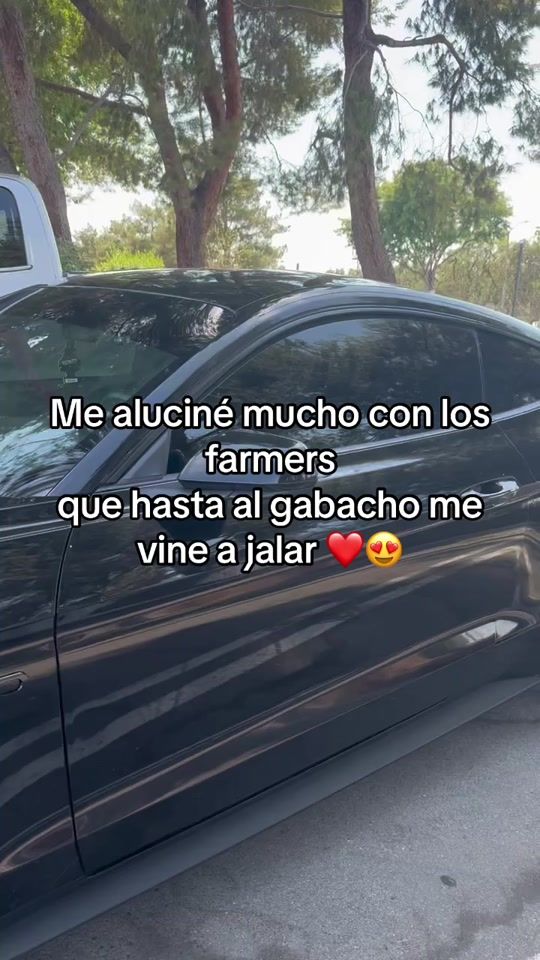 TikTok video thumbnail by felixochoa1998