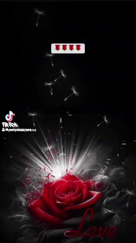 TikTok video thumbnail by swinniejames