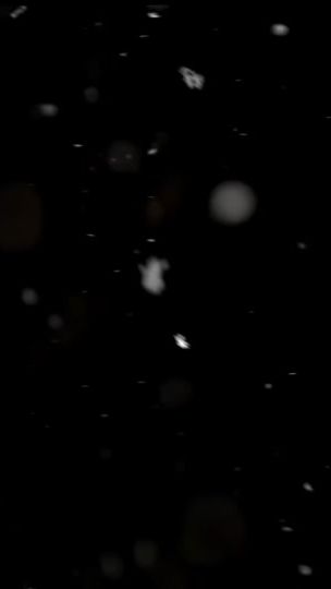 TikTok video thumbnail by _lilmustache_