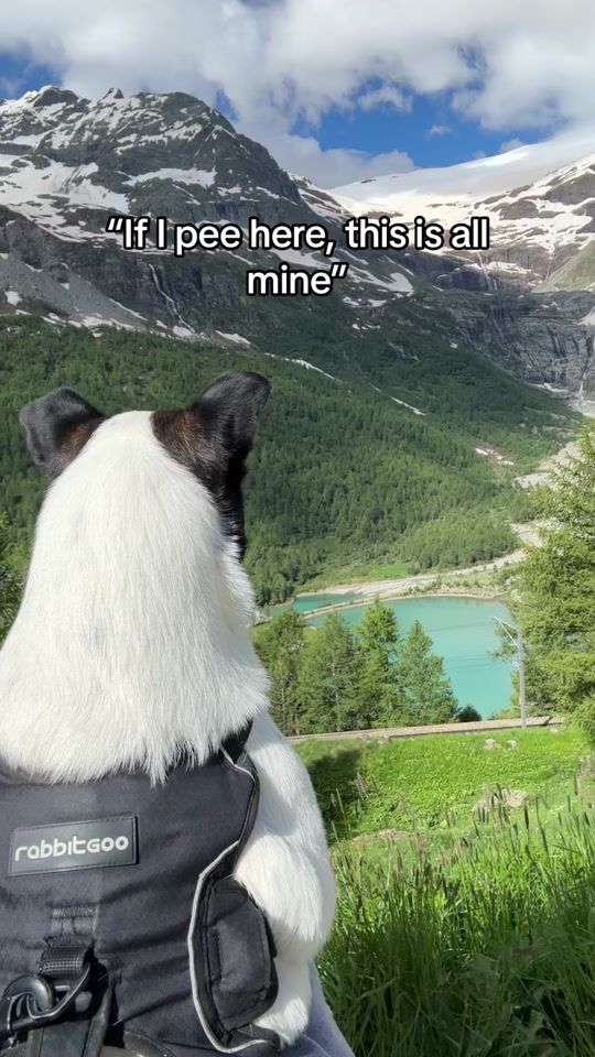 TikTok video thumbnail by angelfacecharlie