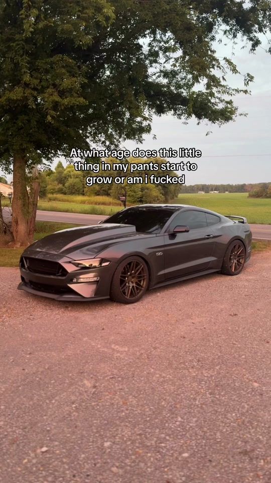 TikTok video thumbnail by parker5ohs