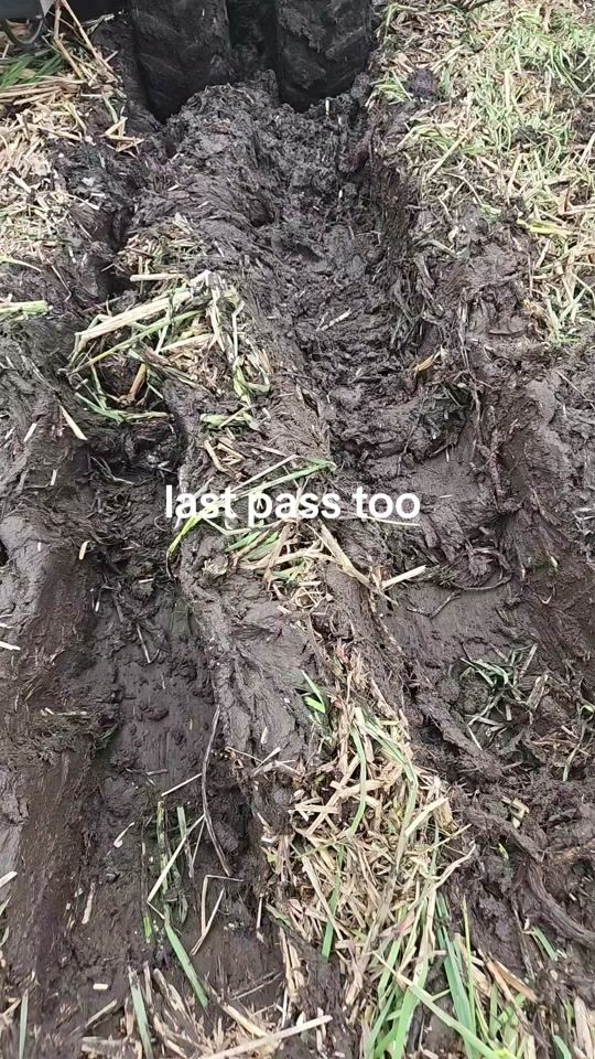 TikTok video thumbnail by michaelcaler0
