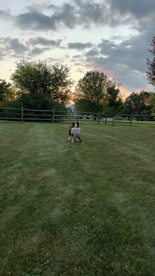 TikTok video thumbnail by kelly_bove
