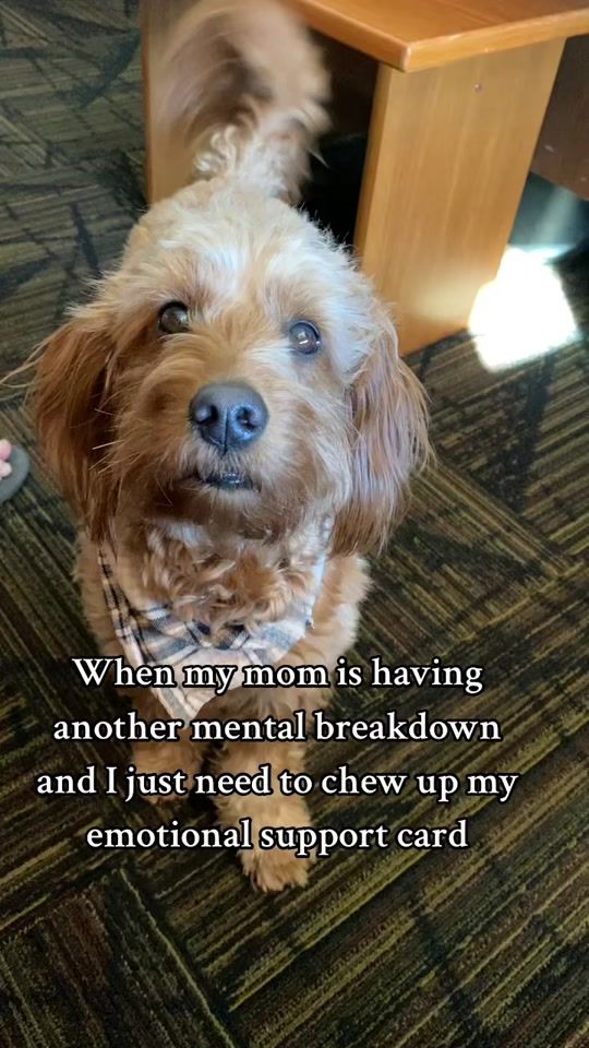 TikTok video thumbnail by maegan.barras