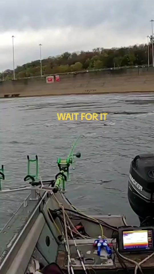 TikTok video thumbnail by greenwellfishing