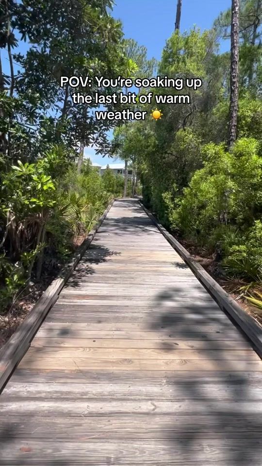 TikTok video thumbnail by ryobitoolsusa
