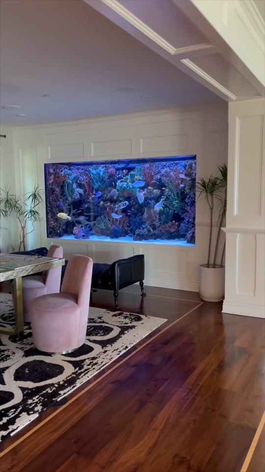 TikTok video thumbnail by infinityaquariums