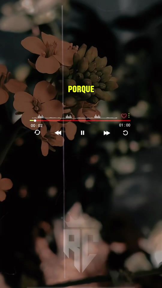 TikTok video thumbnail by rolitas.chidas.444