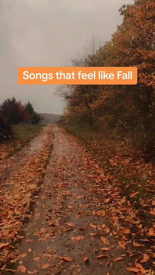 TikTok video thumbnail by shaysplaylists