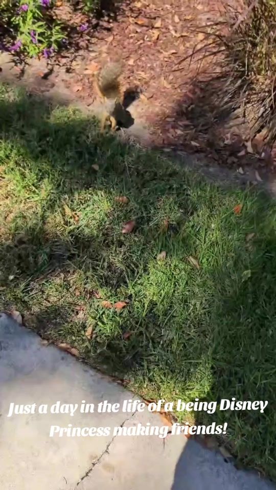 TikTok video thumbnail by joyful_aura