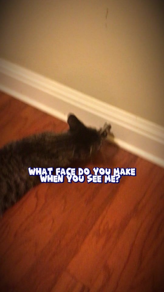 TikTok video thumbnail by jennandjuice24
