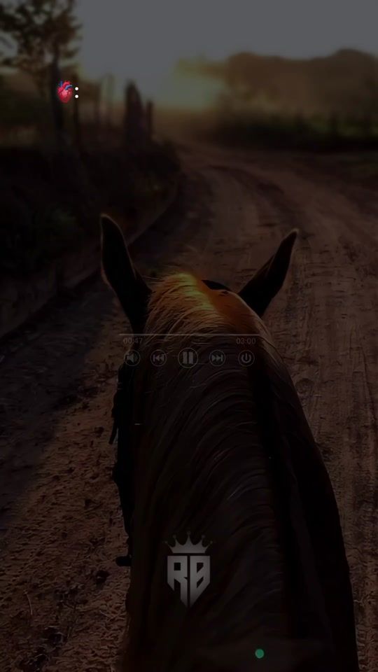 TikTok video thumbnail by rolitas.bnjz