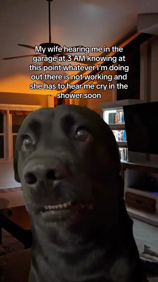 TikTok video thumbnail by jake_stevens__