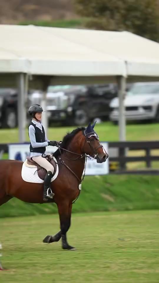 TikTok video thumbnail by soleaequestrian