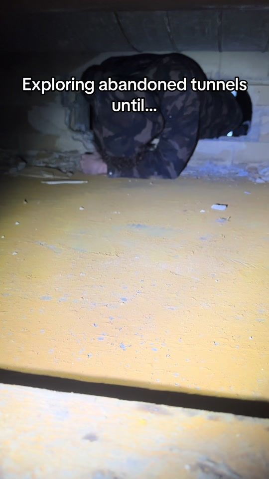TikTok video thumbnail by rotting.midwest