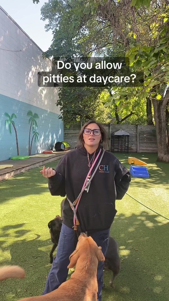 TikTok video thumbnail by staypet